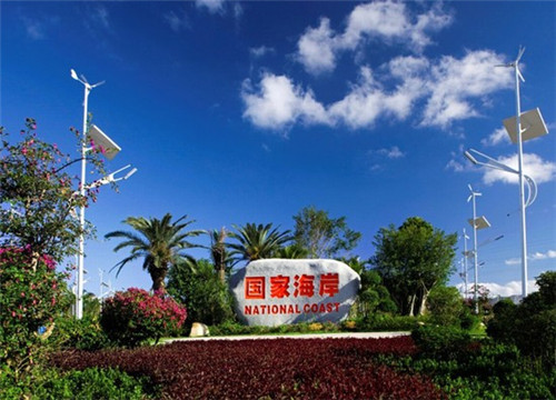 德维塔翻糖艺术蛋糕