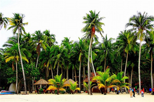 爱尚避风塘小海鲜