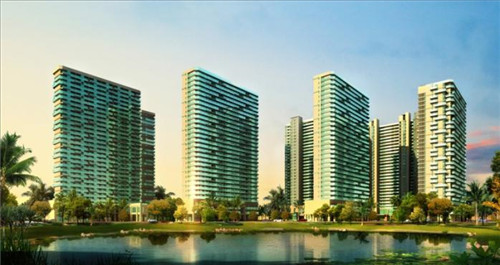 鱼头大大鱼头泡饭