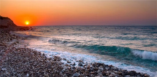 桔莓柚苹奶茶加盟在岳阳市要求多吗，岳阳市开奶茶加盟店前期投资大吗