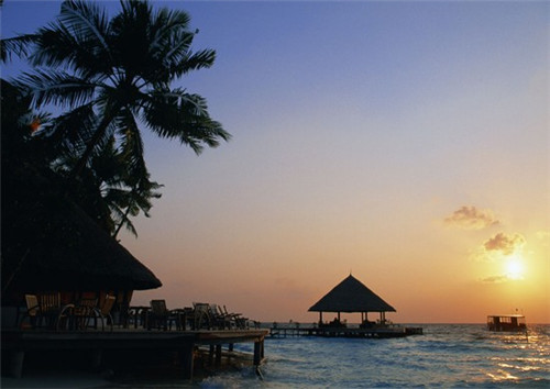 2025中餐加盟店还能赚钱吗，加盟爱福蛙花艺餐厅品牌口碑怎么样