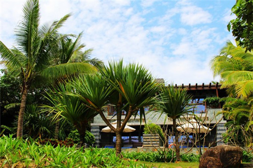 奶茶加盟连锁哪家有前景，鲜茶道品牌实力怎么样