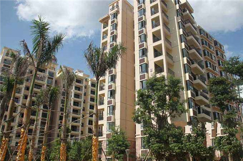 2025蛋糕加盟店还能做吗，圣心蛋糕还有加盟的价值吗