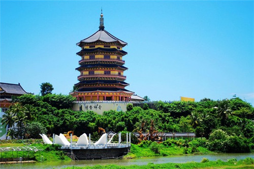 男宝起名张君什么好听（张君名字大全）