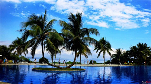 泡茶盖碗最新款2025高档大气（初级茶艺师盖碗泡茶手法视频）