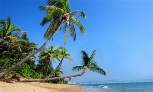 黄厝风景区怎么读（黄厝游玩攻略）