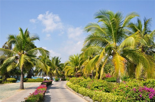 渊渟岳峙一般指什么（渊渟岳峙下一句）