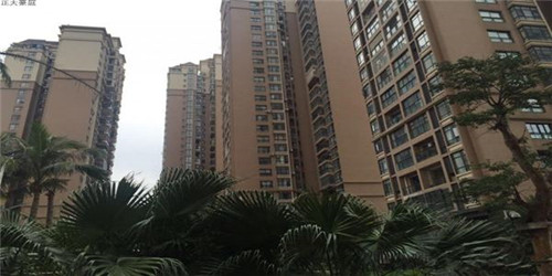 墙面太高了怎么装修（墙太高怎么装饰）
